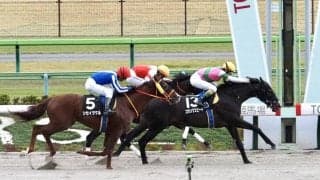 【東村山特別】コウソクスピードがダート無敗