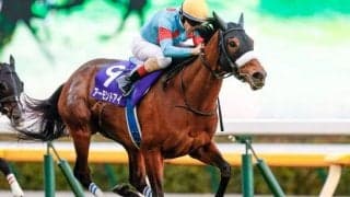 【ジャパンC見どころ】三冠馬3頭が激突！空前絶後の一戦を制するのはどの馬か
