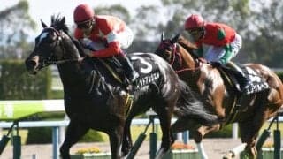 【京阪杯見どころ】レッドアンシェルの重賞3勝目なるか