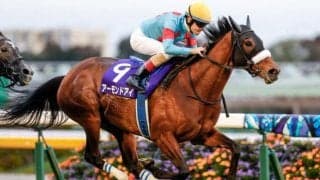 史上初の三冠馬3頭が激突！ GIジャパンCに注目/今週の競馬界の見どころ