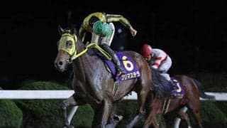 【佐賀・カペラ賞結果】プリマステラが3連勝で重賞初制覇