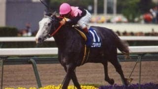 【JRA】外回り→内回りの阪神芝3200mで来年2月に松籟Sを実施、天皇賞・春と同コース