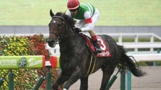 【ジャパンカップ】サートゥルナーリアが回避、経過次第で有馬記念を視野に