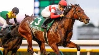 【東京スポーツ杯2歳S結果】ダノンザキッドが無傷2連勝で重賞制覇
