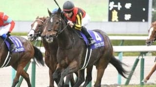 【マイルCS】売上は176億4100万0900円で昨年から増加