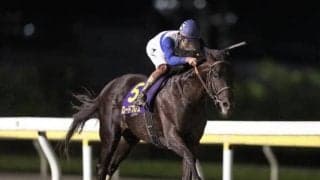 【浦和記念見どころ】実績馬が集い好メンバーとなった中距離戦