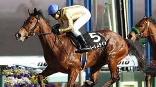【先週のJRA抹消馬】ハーレムライン、タイムトリップ、エアカーディナル…オープン2勝馬3頭が抹消