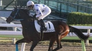 【地方競馬】サバノミッソーニ、大井競馬場でデビュー！