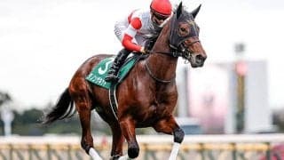 【次走】ダノンザキッドはホープフルSを視野に　無傷2連勝で東スポ杯2歳Sを制覇