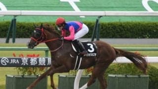 【カノープスSハンデ確定】メイショウカズサは54kg、ダノンスプレンダーは55kg