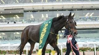 【マイルCS回顧】グランアレグリア　タピッツフライが遺した唯一の牝馬/栗山求コラム