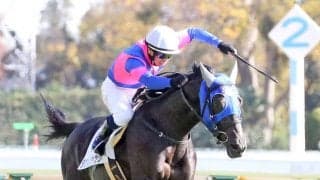 【新馬/東京5R】ブラックタイド産駒 タケルジャックがデビューV