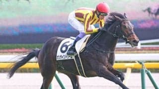 【新馬/東京6R】超良血馬 オンラインドリームがデビューV