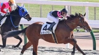 【新馬/東京6R】ヴァンセンヌ産駒 ルヴィアスがデビューV