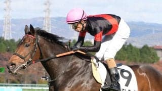 【阪神7R】和田竜「長く脚を使ってくれた」ストリクトコードがV