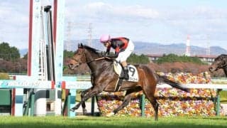 【阪神7R】ディープ産駒 ストリクトコードが2馬身差完勝！