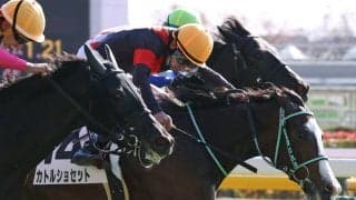 【東京3R】横山武「よく頑張ってくれた」カトルショセットが初勝利