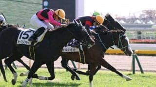 【東京3R】ハーツクライ産駒 カトルショセットが初勝利