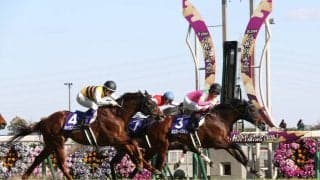 ミスターメロディが競走馬登録抹消