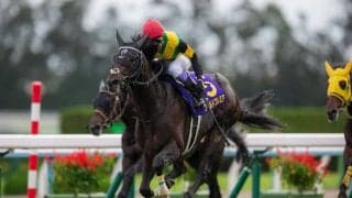 武豊騎手 今週の騎乗馬