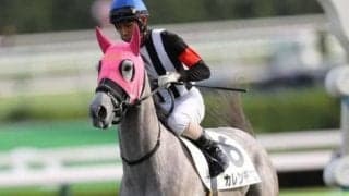 【京阪杯前日オッズ】カレンモエが4.6倍で1番人気