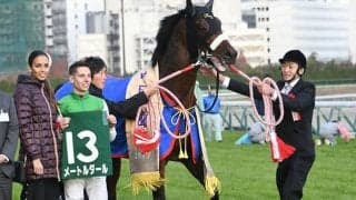 【JRA】2017年中日新聞杯覇者メートルダールが引退、乗馬に