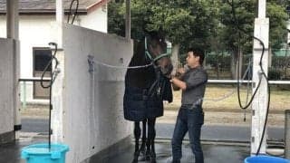 【ジャパンC】キセキ陣営「今の時季が合う」/ねぇさんのトレセン密着