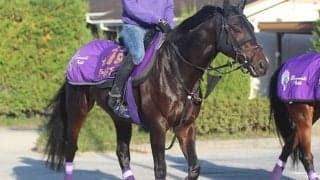 【ジャパンC】ワールドプレミア陣営「左回りは凄く楽しみ」/ねぇさんのトレセン密着