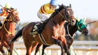 【キャピタルS結果】ピースワンパラディが人気に応えて差し切りV