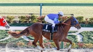 【カトレアS結果】レモンポップが人気2頭の競り合いを制し無傷の2連勝