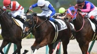 【阪神6R新馬戦結果】6番人気ティフォーザが激戦を制す
