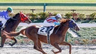 【東京6R新馬戦結果】ビーカレイジャスが不利をはね除けてV