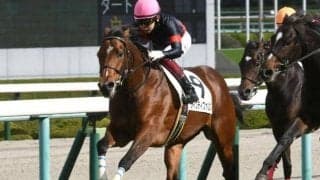 【阪神5R新馬戦結果】断然人気のヴィクティファルスが抜け出してV
