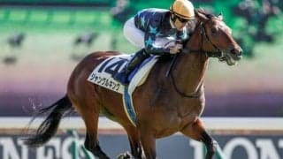 【東京5R新馬戦結果】ジャングルキングが断然人気に応えて完勝