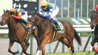 【阪神JF想定】無傷3連勝中メイケイエールは武豊騎手、ソダシは吉田隼人騎手と引き続きコンビ