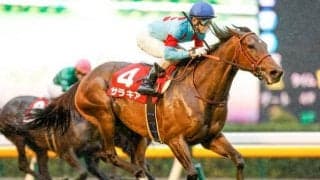 【次走】エリザベス女王杯2着のサラキアは有馬記念を目標に