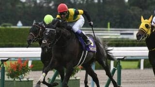 【ジャパンC予想】 3冠馬3頭の華麗なる競演！ 世紀の一戦を消去法はどうジャッジするのか!?/JRAレース展望