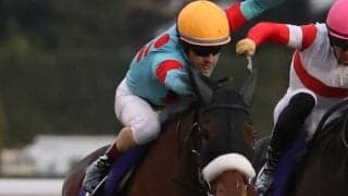 【ジャパンC】枠順と見どころ アーモンドアイは2枠2番