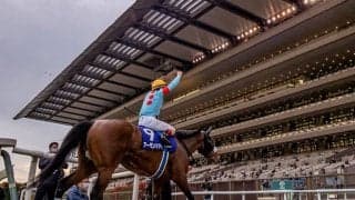 【本日の注目ポイント】三冠馬3頭が激突のジャパンC　阪神では京阪杯