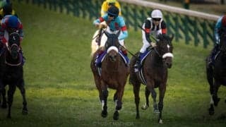 【ジャパンC】日本中央競馬会 後藤正幸理事長コメント