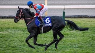 【ジャパンC】福永「アーモンドアイは強かった」レース後ジョッキーコメント