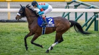 WIN5は212票的中！アーモンドアイが有終の美