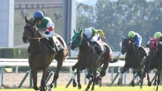 【チャレンジC見どころ】3歳牝馬レイパパレのデビュー5連勝なるか