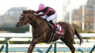 【ステイヤーズS見どころ】同一重賞4勝目を狙うアルバートに注目