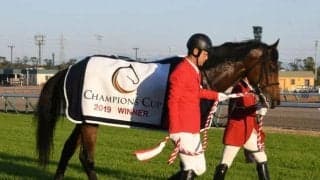 秋のダート王決定戦チャンピオンズCに注目/今週の競馬界の見どころ