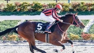 【全日本2歳優駿】デュアリスト、バクシン、ラストリージョなどJRA出走予定馬が発表