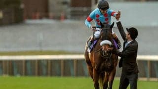 【独占手記】母になるアーモンドアイへ　担当助手が明かす九冠女王の素顔