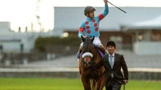 【勝負の分かれ目 ジャパンC】ルメール騎手の好騎乗でアーモンドアイが有終の美