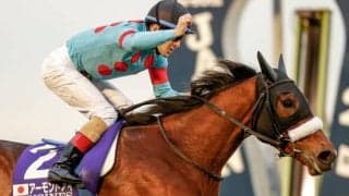 【JRA・WIN5】ジャパンCデーのWIN5は的中212票、配当315万5170円