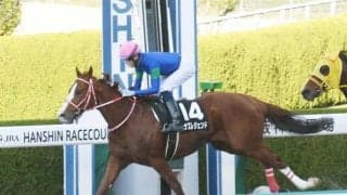 【カノープスS結果】初ダートのハナズレジェンドが差し切り勝ち